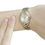 Emporio Armani Tazio Small AR11558 Women Watch AAW1