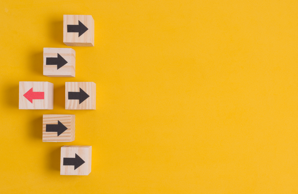 10 Dash Hudson Competitors In the Market Worth Knowing